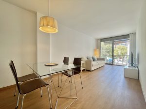 Img 0719